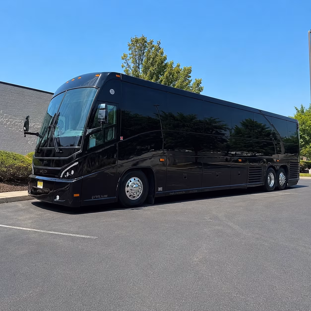 Tampa Concert Transportation & Shuttles